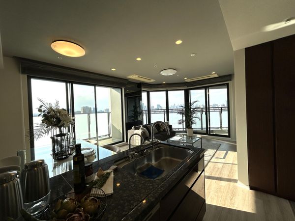 グランドメゾン白金の杜ザ・タワー リビング リビング