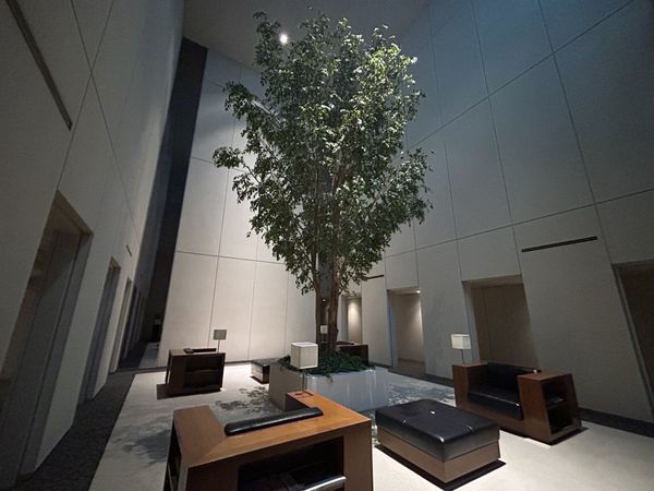 ルクセンブルグハウス ロビー ルクセンブルグハウス ロビー