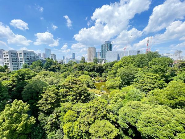 三田綱町パークマンション 眺望