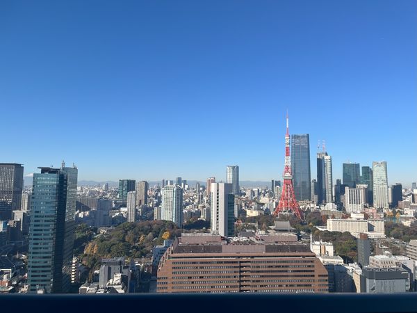 WORLD TOWER RESIDENCE 眺望 WORLD TOWER RESIDENCE 眺望