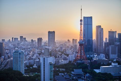 WORLD TOWER RESIDENCE 眺望