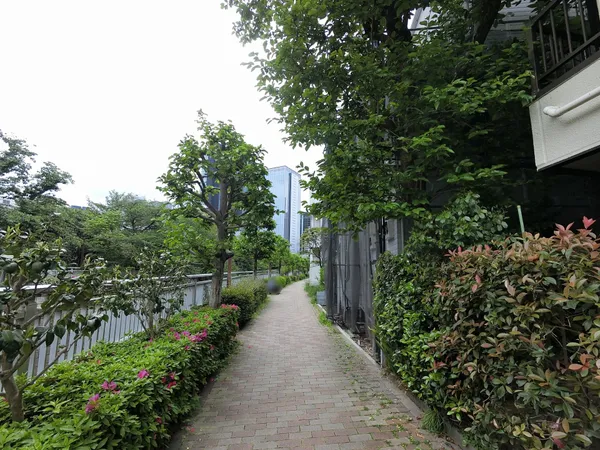 前面道路（2026年4月撮影）
