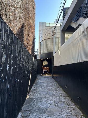 ■渋谷区神宮前3丁目 神宮前レモンビル その他 その他