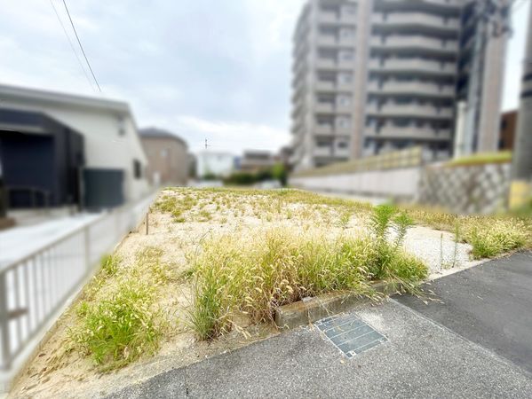 土地写真