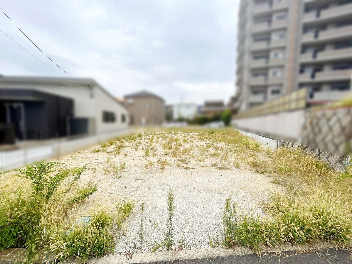 土地写真
