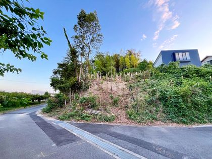 日進市折戸町鎌ケ寿 土地写真