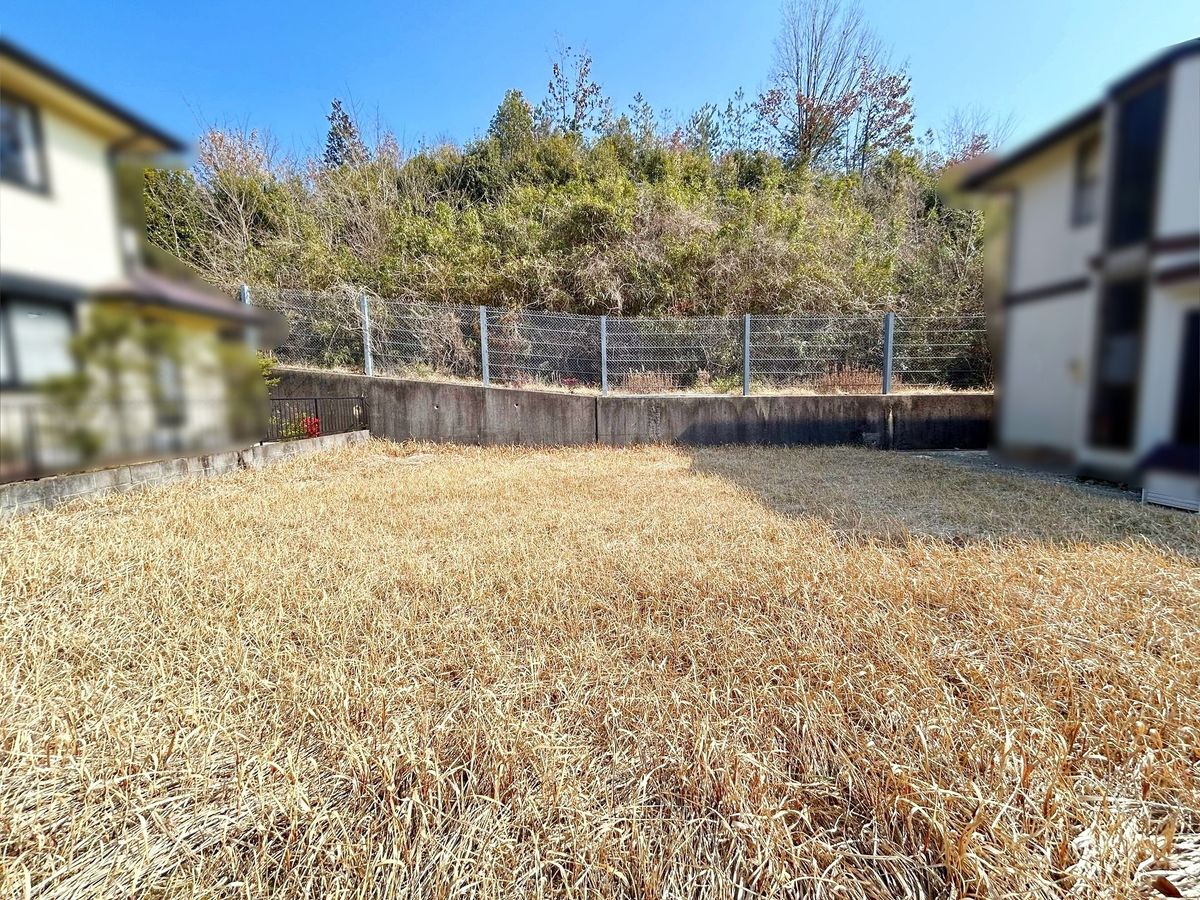 土地写真