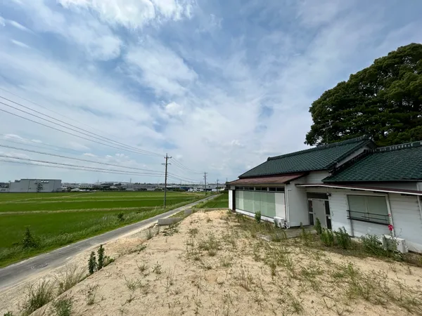 現地写真