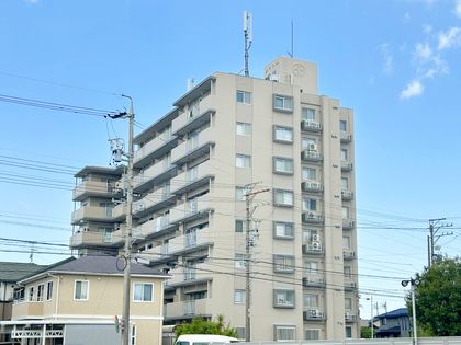 シャトー若林 外観