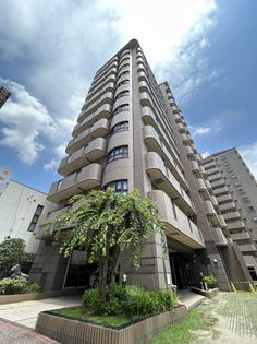 ライオンズシティ豊田 外観