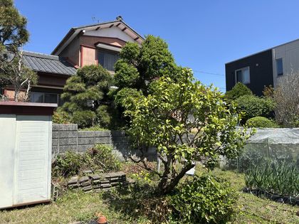 土地写真