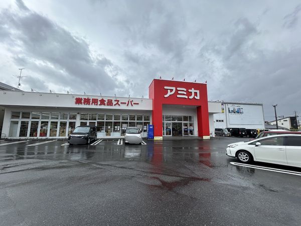 アミカ岡崎店（約700ｍ）