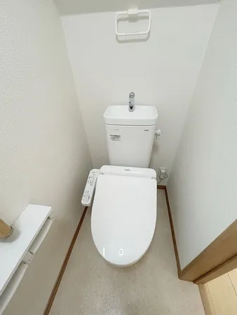 クリーニング済