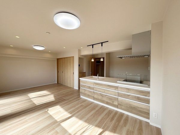 シャトレ愛松一宮Ⅱ リビング シャトレ愛松一宮Ⅱ リビング