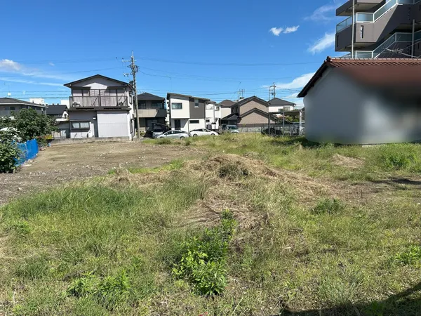 現地写真