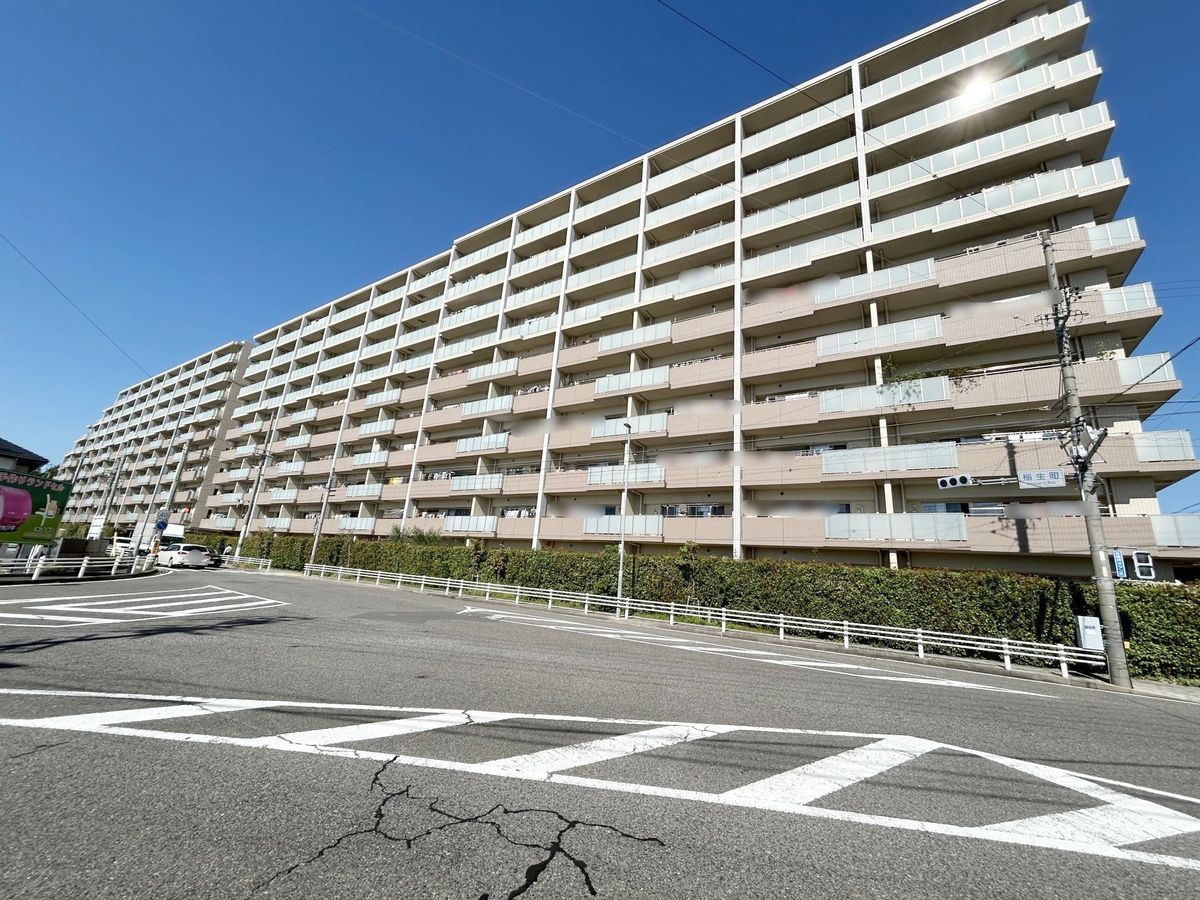 キャパシティ 外観 外観