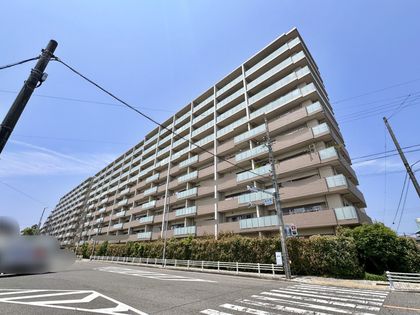 キャパシティ 外観