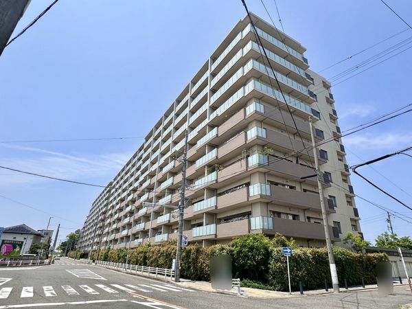 キャパシティ 外観