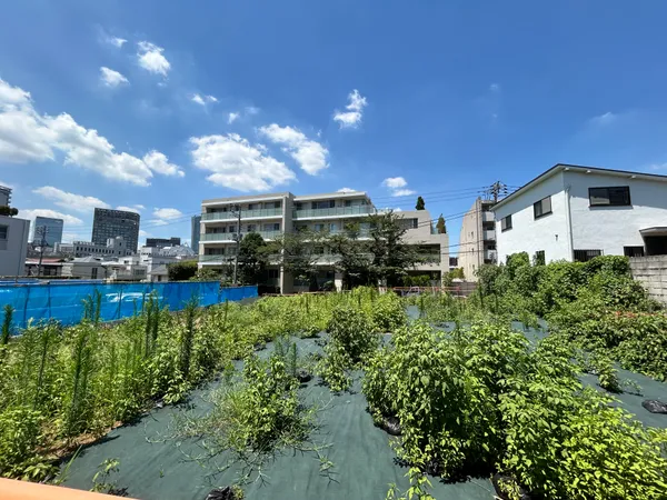 現地写真