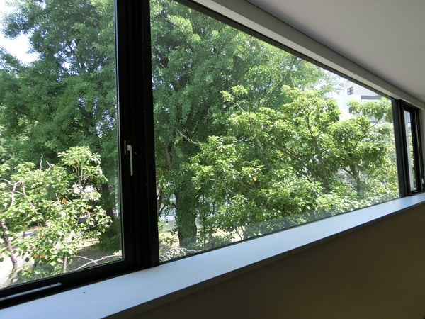 港区白金台4丁目 戸建 眺望 港区白金台4丁目 戸建 眺望