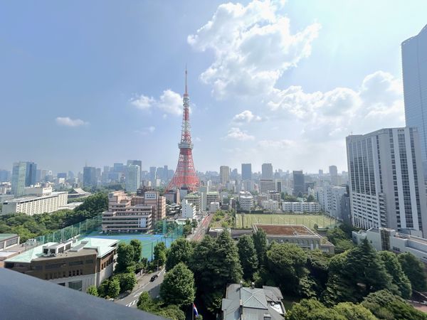 ウェリスタワー愛宕虎ノ門 眺望 ウェリスタワー愛宕虎ノ門 眺望
