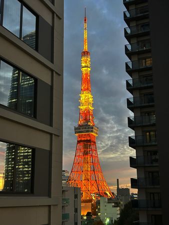 ブランズ愛宕虎ノ門 眺望 ブランズ愛宕虎ノ門 眺望