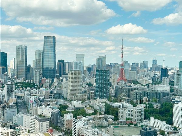 白金ザ・スカイ 東棟 眺望 眺望