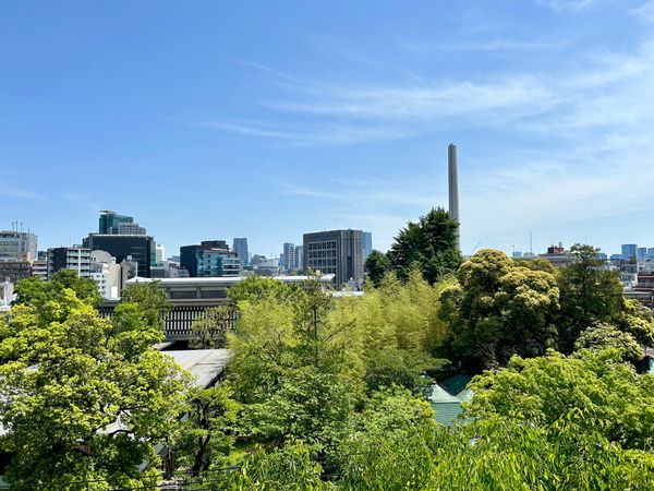 センチュリーフォレスト D棟 眺望 眺望