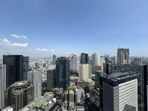 ザ・パークハウス西新宿タワー60 眺望
