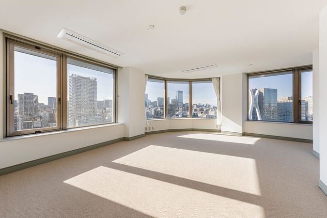 スカイライトタワー リビング