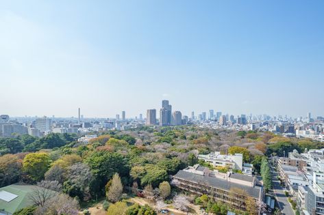 ジオグランデ白金台 眺望