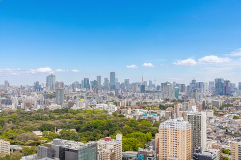 Brillia Towers目黒 サウスレジデンス 眺望