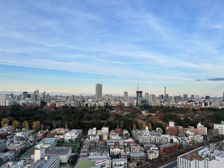 パークコート神宮北参道ザタワー バルコニーからの眺望