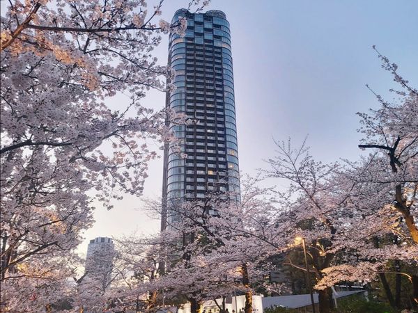 パークコート赤坂檜町ザ タワー 眺望 パークコート赤坂檜町ザ タワー 眺望