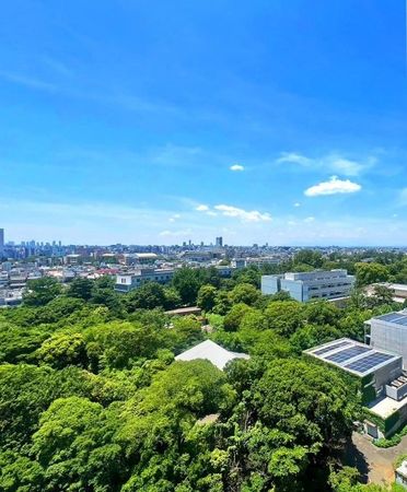 パークホームズ渋谷松濤 眺望 パークホームズ渋谷松濤 眺望