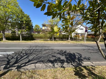 利府町青山3丁目 土地 前面道路含む外観