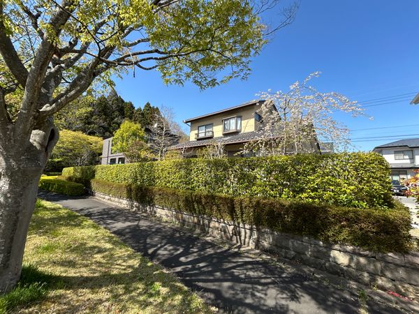 利府町青山3丁目 土地 土地写真