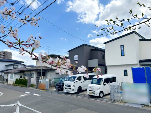 将監8丁目 新築戸建 B号棟 その他現地 将監8丁目 新築戸建 B号棟 その他現地