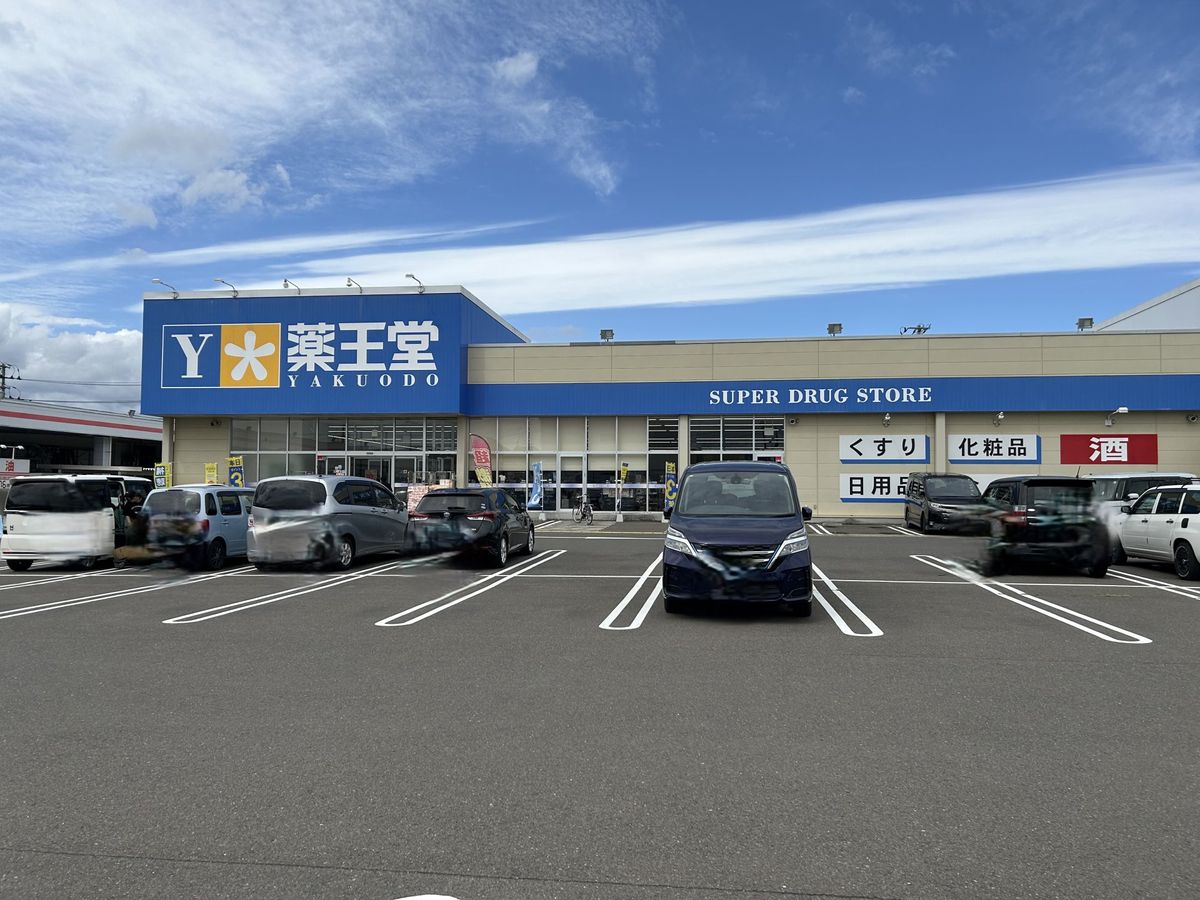 杜乃橋1丁目 戸建 薬王堂宮城大富店(約930m) 薬王堂宮城大富店(約930m)