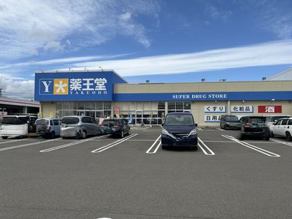 杜乃橋1丁目 戸建 薬王堂宮城大富店(約930m) 薬王堂宮城大富店(約930m)