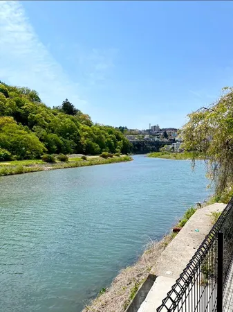広瀬川と愛宕緑地の眺望