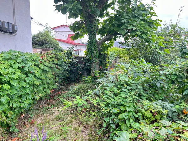 土地写真