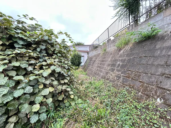 土地写真