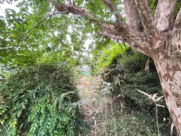 土地写真