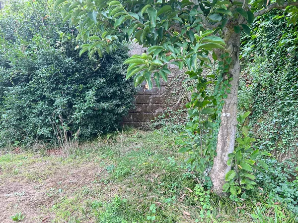土地写真