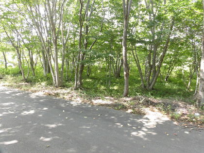 白石市福岡八宮 土地 土地写真