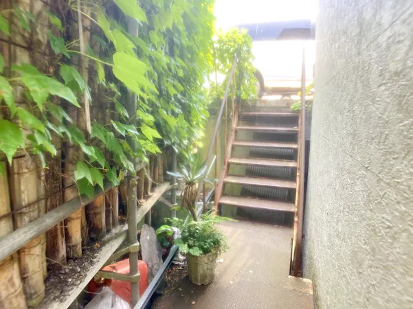 現地写真