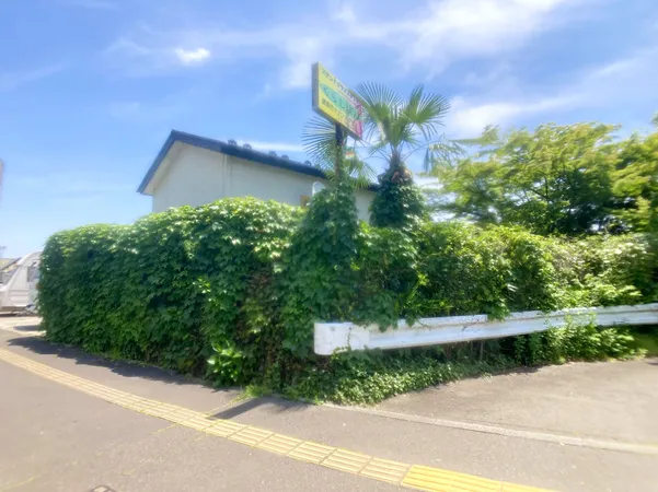 現地写真