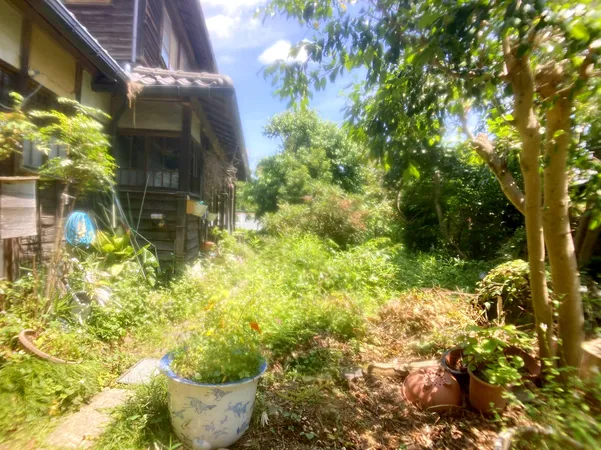 現地写真