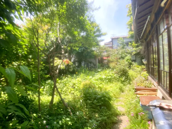 現地写真